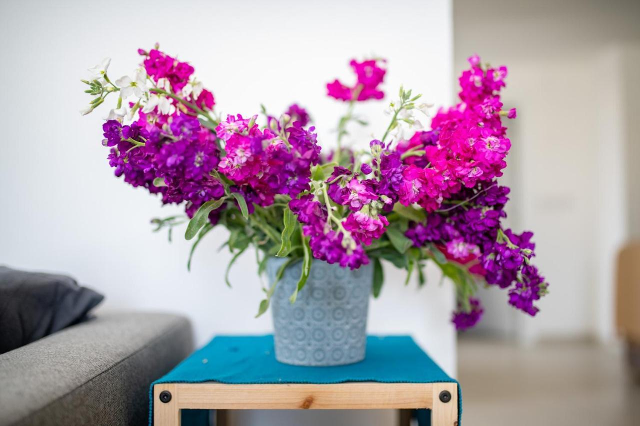Sliema, Villa Savoia Luxury Apartment For 5 Guests グジラ エクステリア 写真